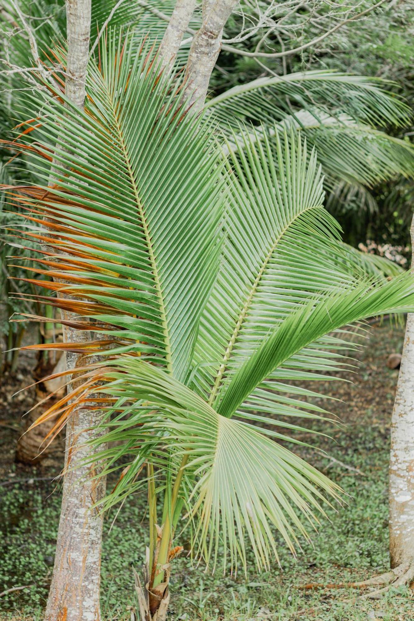 Mayan Playa Bacalar Zewnętrze zdjęcie